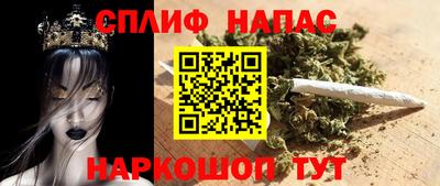 спиды Гатчина