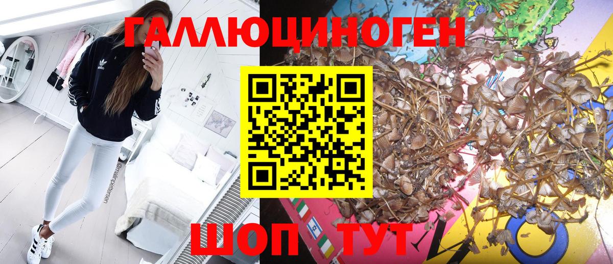 Галлюциногенные грибы мицелий Шелехов
