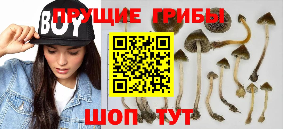 Псилоцибиновые грибы мухоморы  Вход с VPN  Шелехов 